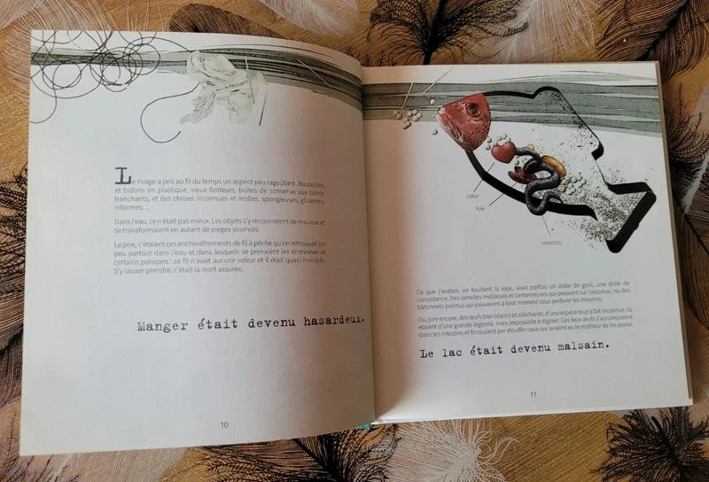 Het vermoorde meer Laurent Chabin, Christine Delezenne (Illustraties) – photo 3